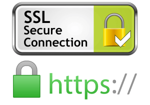EV SSL Certificate 託管憑證（5個網站）